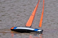 DSC05482 © Peter Taylor 2011