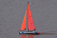 DSC05488 © Peter Taylor 2011