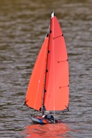 DSC05466 © Peter Taylor 2011