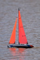 DSC05469 © Peter Taylor 2011