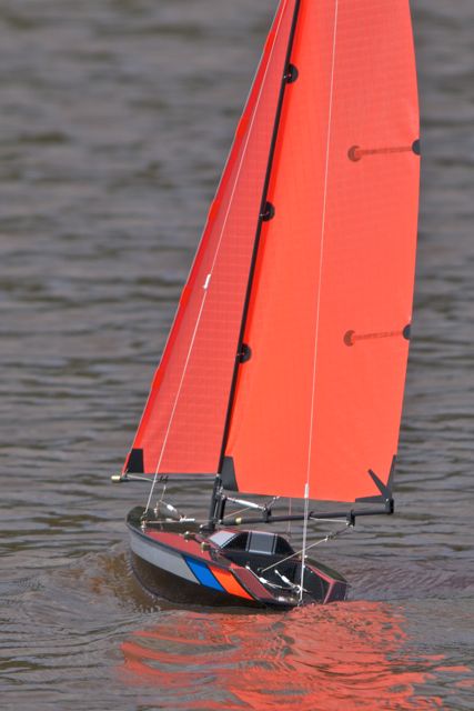 DSC05486 © Peter Taylor 2011