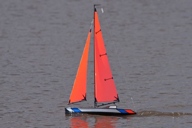 DSC05488 © Peter Taylor 2011