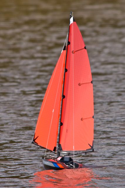 DSC05466 © Peter Taylor 2011