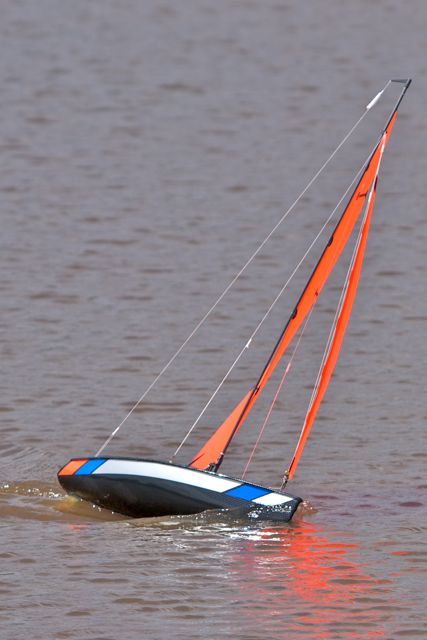 DSC05483 © Peter Taylor 2011