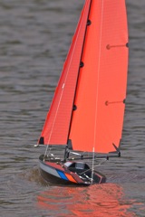 DSC05486 © Peter Taylor 2011