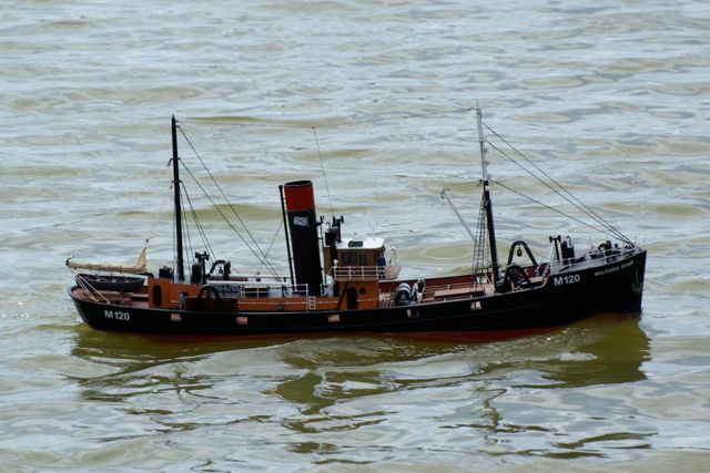 DSC09123 © Peter Taylor 2009
