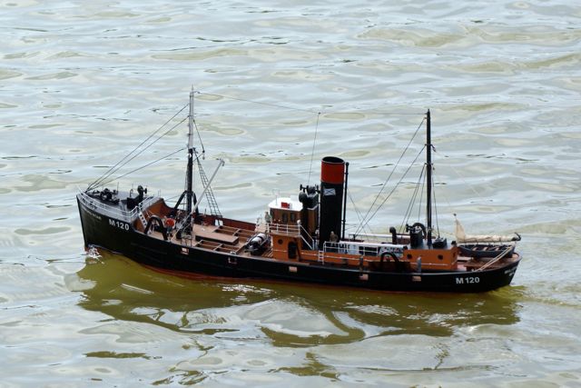 DSC09121 © Peter Taylor 2009