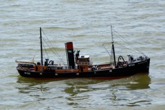 DSC09123 © Peter Taylor 2009