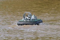 DSC06728 © Peter Taylor 2011