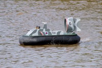 DSC06731 © Peter Taylor 2011