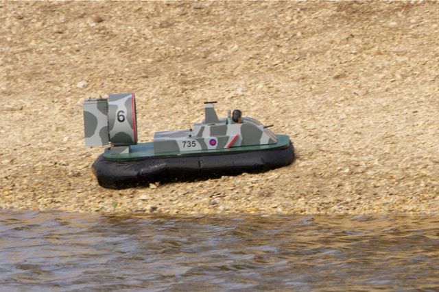 DSC06736 © Peter Taylor 2011