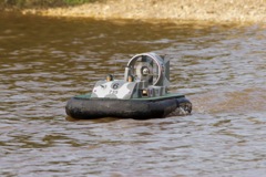 DSC06738 © Peter Taylor 2011