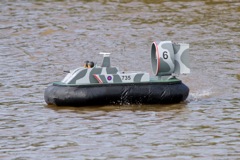 DSC06731 © Peter Taylor 2011