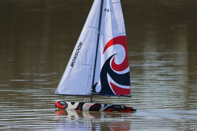 DSC09293 © Peter Taylor 2012