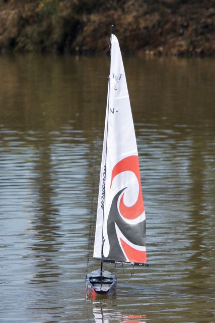 DSC09288 © Peter Taylor 2012