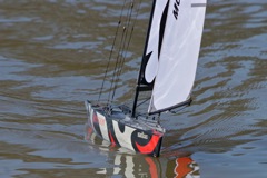 DSC09330 © Peter Taylor 2012