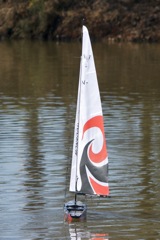 DSC09288 © Peter Taylor 2012