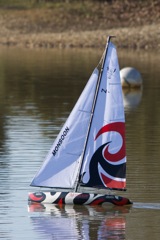 DSC09291 © Peter Taylor 2012