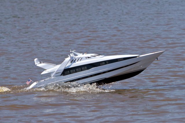 DSC06320 © Peter Taylor 2011