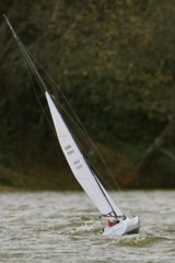 DSC02017 © Peter Taylor 2012