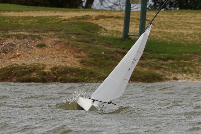 DSC02096 © Peter Taylor 2012