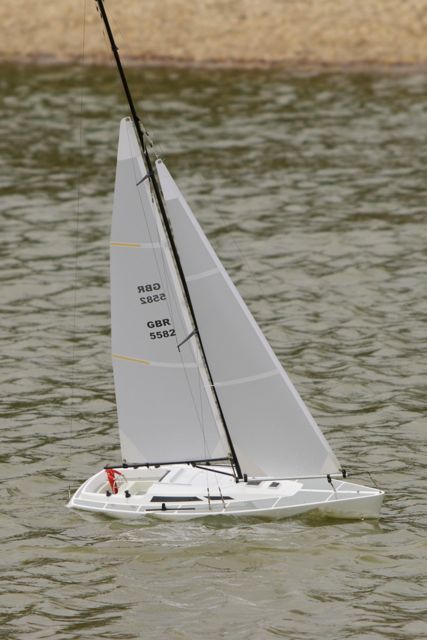 DSC08182 © Peter Taylor 2011