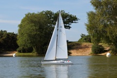 DSC01540 © Peter Taylor 2012