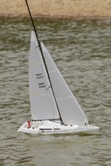 DSC08182 © Peter Taylor 2011