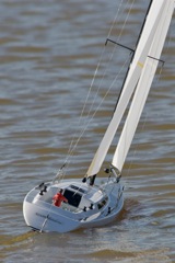 DSC07924 © Peter Taylor 2011