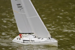 DSC08160 © Peter Taylor 2011