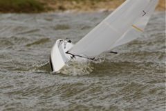DSC02099 © Peter Taylor 2012