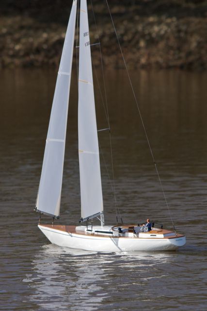 DSC09709 © Peter Taylor 2012