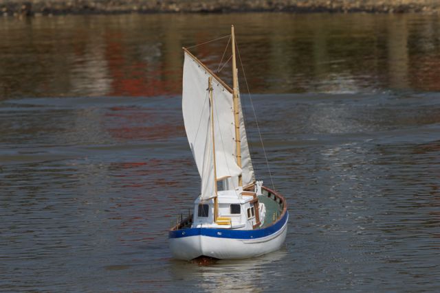 DSC01783 © Peter Taylor 2013