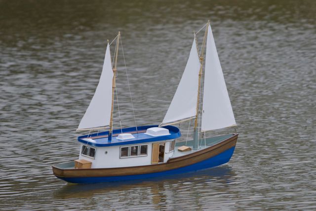 DSC09256 © Peter Taylor 2012