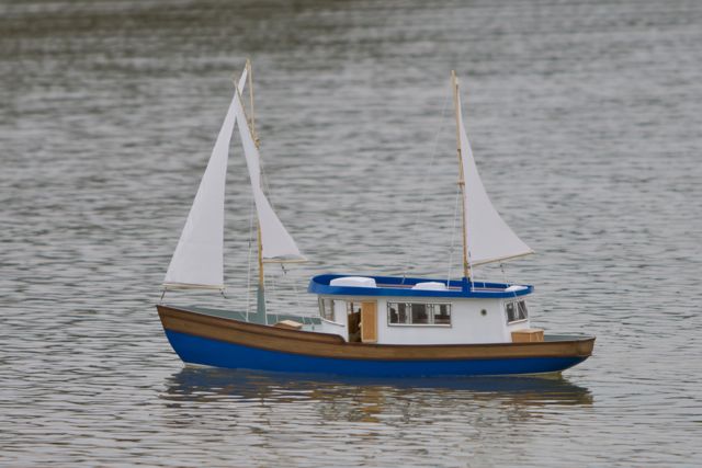 DSC09244 © Peter Taylor 2012