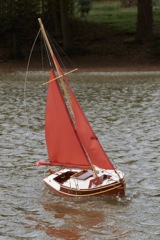 DSC04737 © Peter Taylor 2013