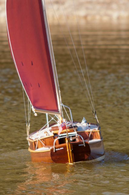 DSC01944 © Peter Taylor 2013