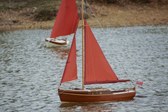 DSC04754 © Peter Taylor 2013