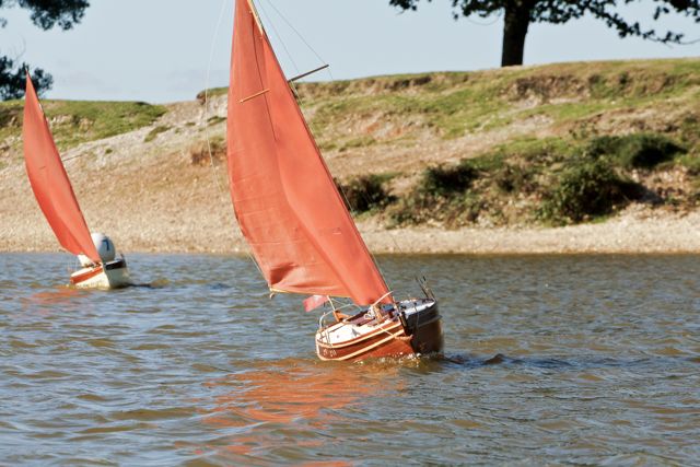 DSC04232 © Peter Taylor 2013