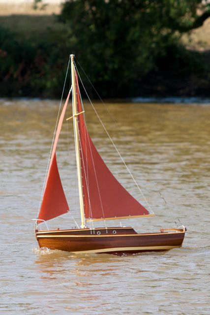 DSC01788 © Peter Taylor 2013