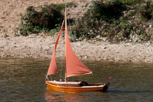 DSC02000 © Peter Taylor 2013