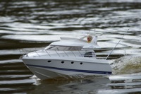 DSC03452 © Peter Taylor 2011