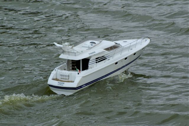 DSC01508 © Peter Taylor 2009