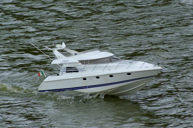 DSC01503 © Peter Taylor 2009