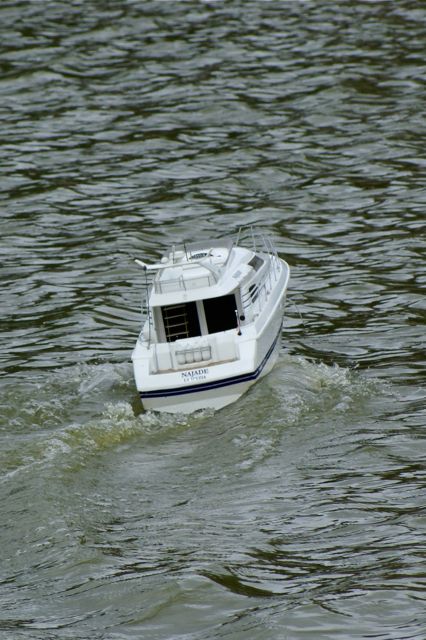 DSC01501 © Peter Taylor 2009