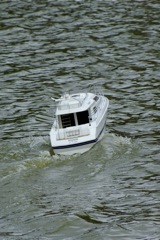 DSC01501 © Peter Taylor 2009
