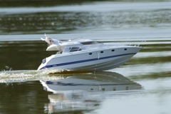 DSC00891 © Peter Taylor 2012