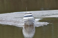 DSC05152 © Peter Taylor 2011
