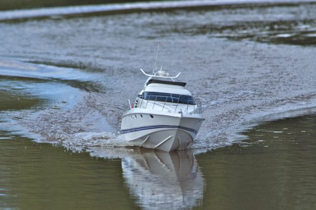 DSC05153 © Peter Taylor 2011