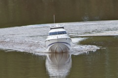 DSC05152 © Peter Taylor 2011